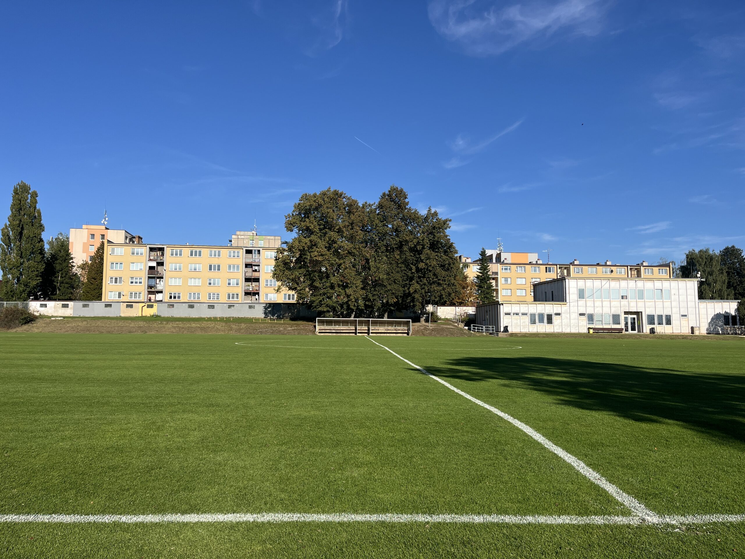 viktorka_2025 (7)