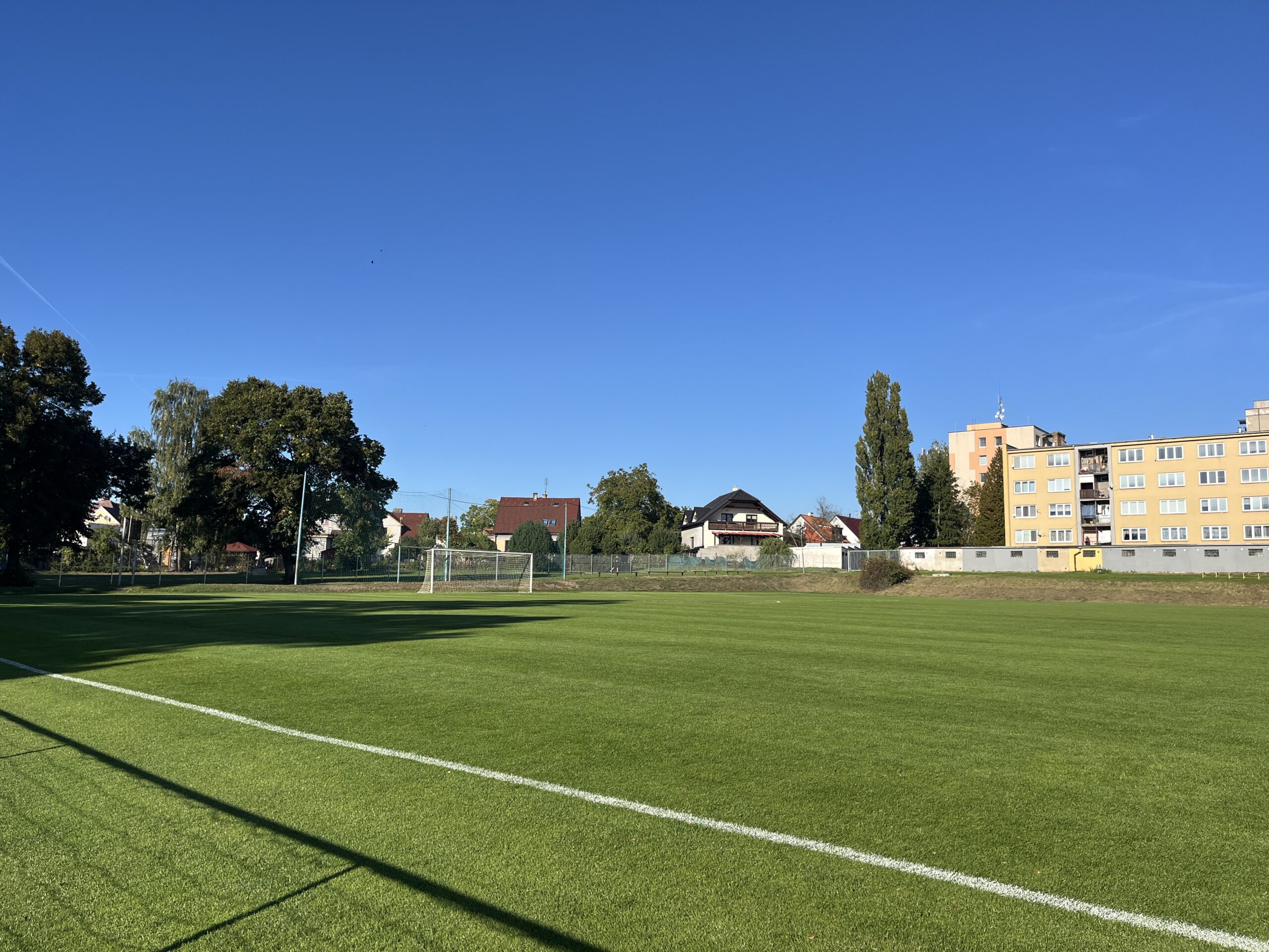 viktorka_2025 (8)